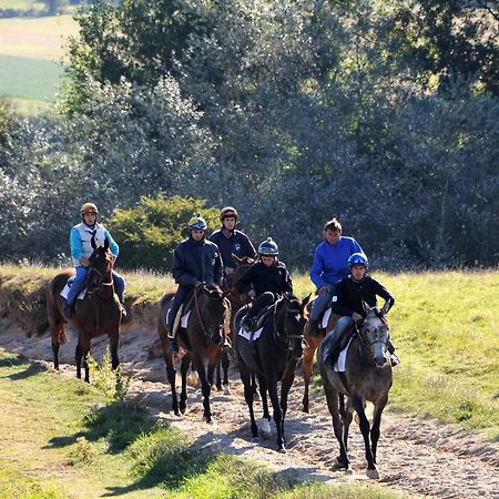 Le Domaine De Belleville Dragey Εξωτερικό φωτογραφία